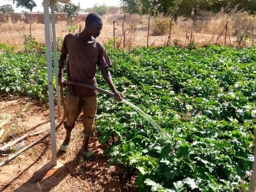 6447de3d137ffd3a2b3810b2_burkinafaso-tamounte-ong-eau-potable-irrigation-jardin-developpement-vie- (1).jpeg-p-500.jpg